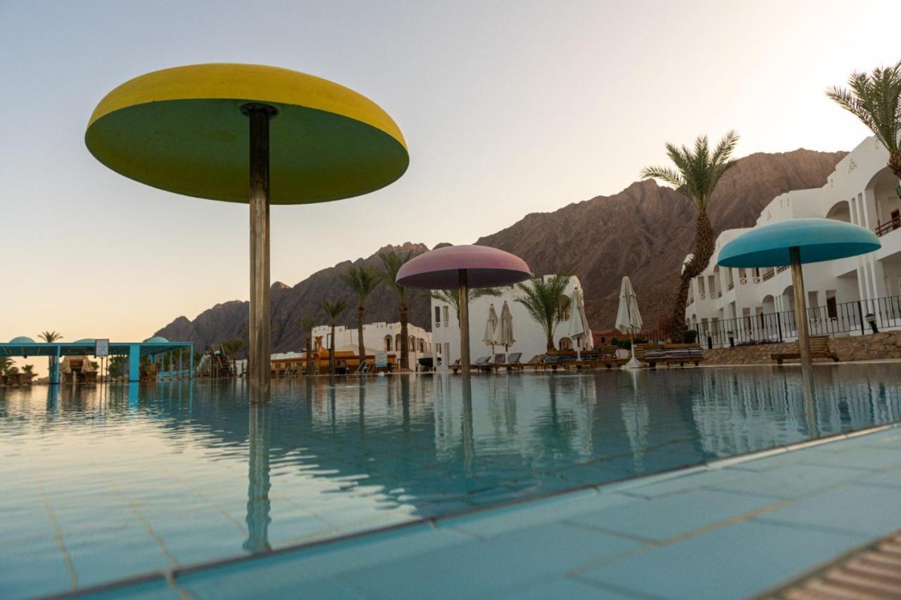 ОТЕЛЬ HAPPY LIFE VILLAGE DAHAB ДАХАБ 4* (Египет) - от 3952 RUB | NOCHI